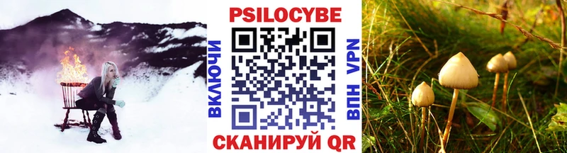 Галлюциногенные грибы прущие грибы  Коломна 
